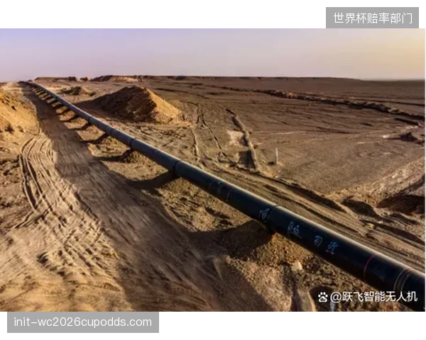 无人机巡检行业缺乏统一的验收交付标准，导致场馆方与服务商之间纠纷不断